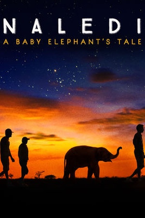 Naledi: A Baby Elephant's Tale