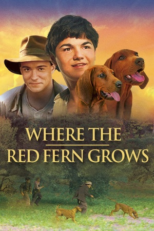 Where the Red Fern Grows