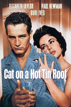 Cat on a Hot Tin Roof