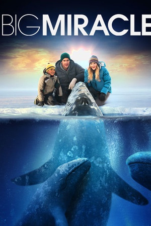 Big Miracle