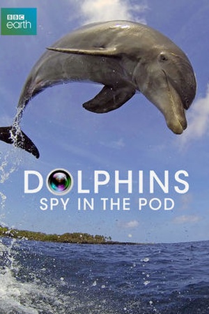 Dolphins: Spy in the Pod