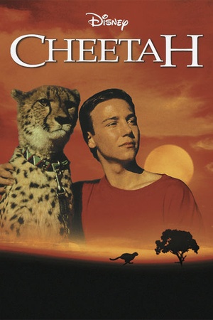 Cheetah