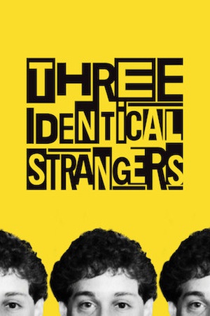 Three Identical Strangers