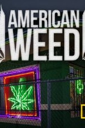 American Weed