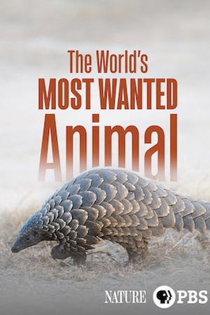 The World's Most Wanted Animal