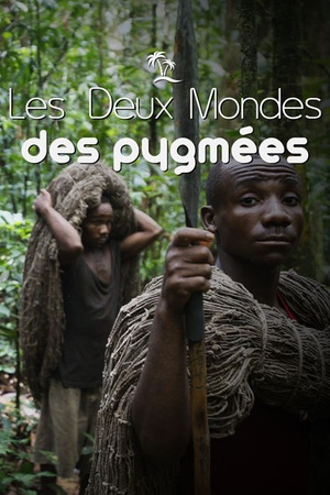 Les deux mondes des Pygmées