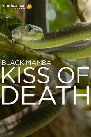 Black Mamba: Kiss of Death