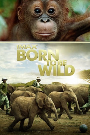 Born to Be Wild: IMAX