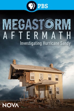 Nova: Megastorm Aftermath