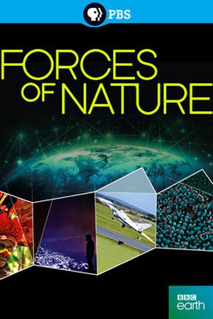 Forces of Nature