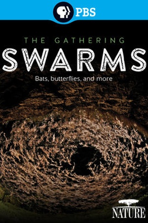 Nature: The Gathering Swarms