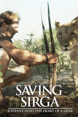 Saving Sirga: Journey into the Heart of a Lion