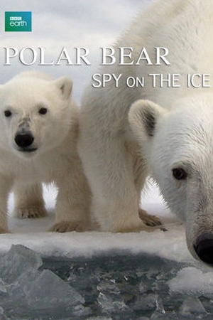 Polar Bear: Spy on the Ice