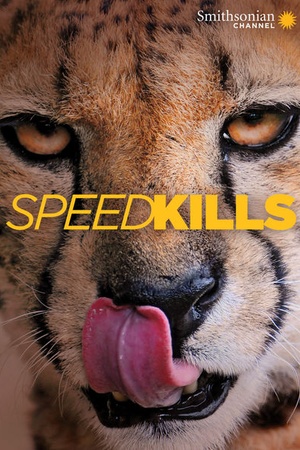 Speed Kills