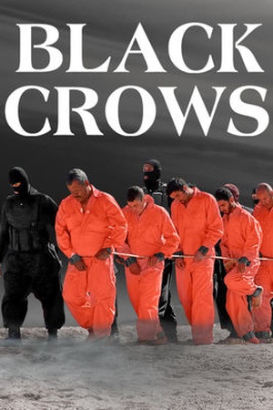 Black Crows