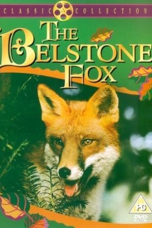 The Belstone Fox