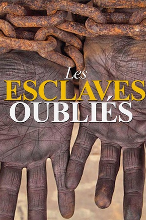 Les esclaves oublies