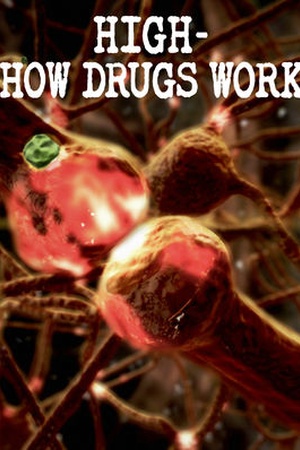 High: How Drugs Work