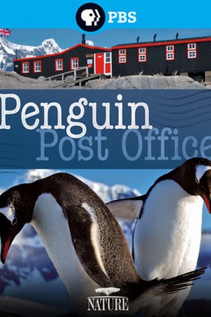 Nature: Penguin Post Office 