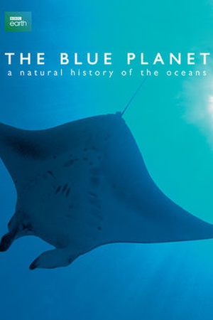 The Blue Planet: A Natural History of the Oceans