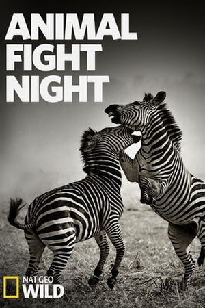 Animal Fight Night