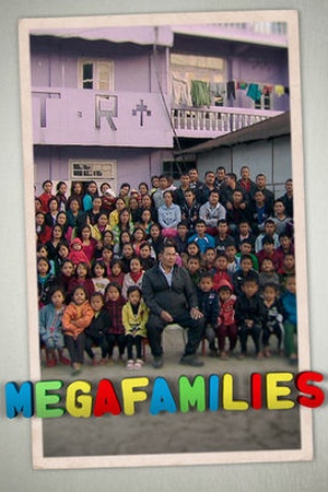 Megafamilies