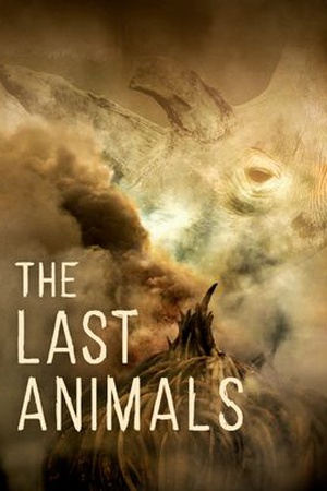 The Last Animals