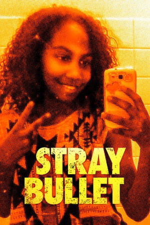 Stray Bullet