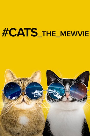 #cats_the_mewvie