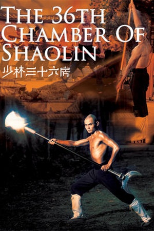 The 36th Chamber Of Shaolin 