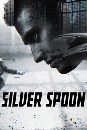 Silver Spoon