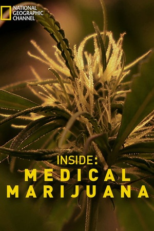 Inside: Medical Marijuana