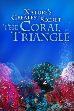 Nature's Greatest Secret: The Coral Triangle