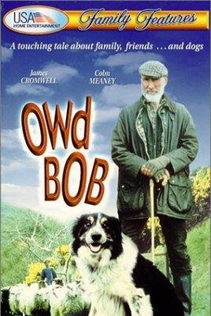 Owd Bob