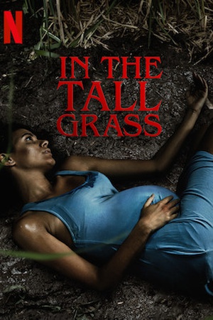 In the Tall Grass