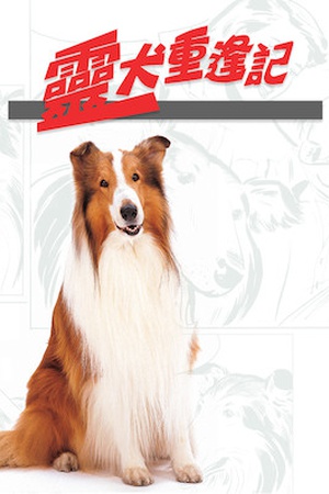 The Magic of Lassie