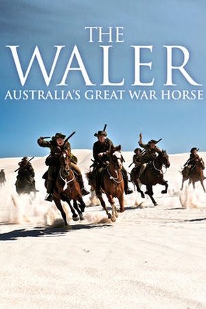 The Waler: Australia's Great War Horse