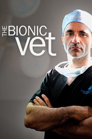 The Bionic Vet