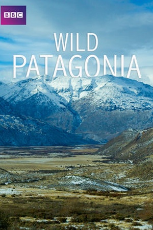 Wild Patagonia