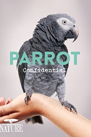 Nature: Parrot Confidential