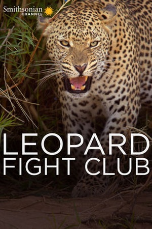 Leopard Fight Club