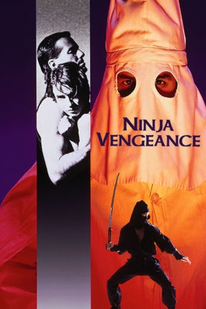 Ninja Vengeance