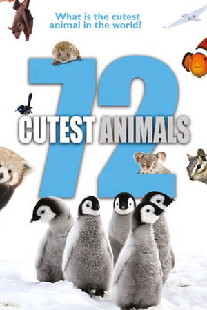 72 Cutest Animals