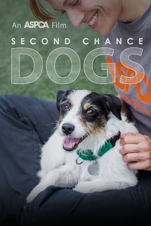 Second Chance Dogs