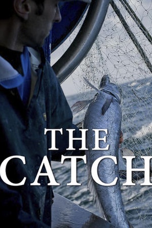 The Catch