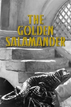 The Golden Salamander