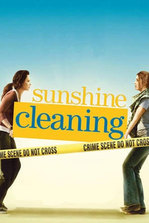 Sunshine Cleaning