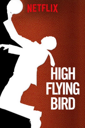 High Flying Bird