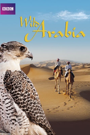 Wild Arabia