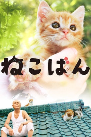 Neco-Ban: Cats in Your Life